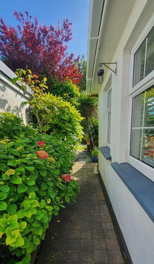 124 ,Castlelawn Heights, Headford Road Galway Homestay Kültér fotó