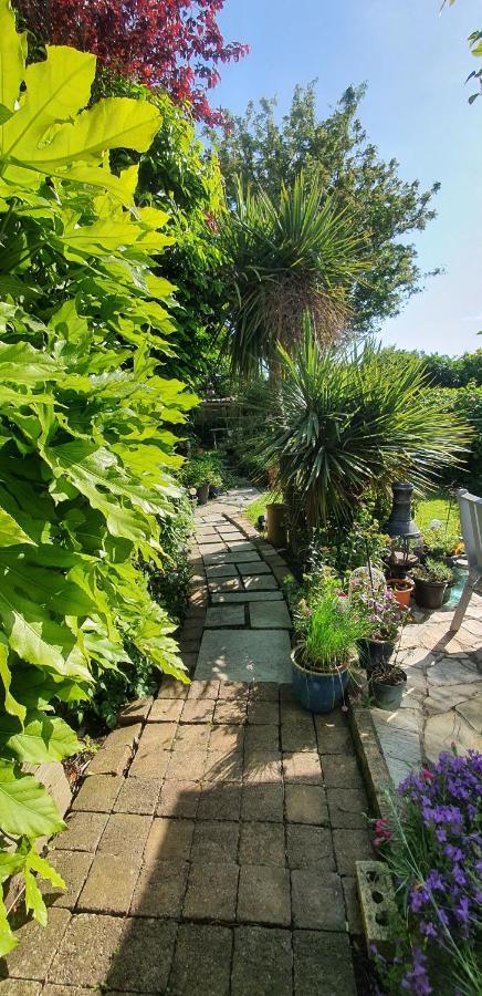 124 ,Castlelawn Heights, Headford Road Galway Homestay Kültér fotó